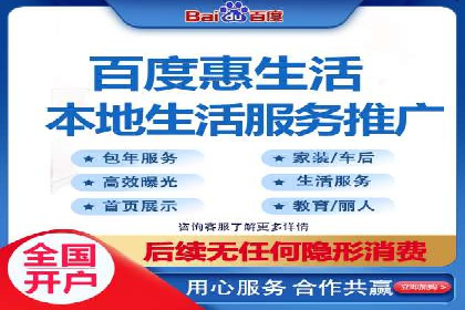 某电商平台的SEM策略与效果展示